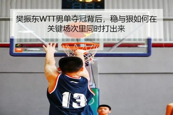 樊振东WTT男单夺冠背后，稳与狠如何在关键场次里同时打出来